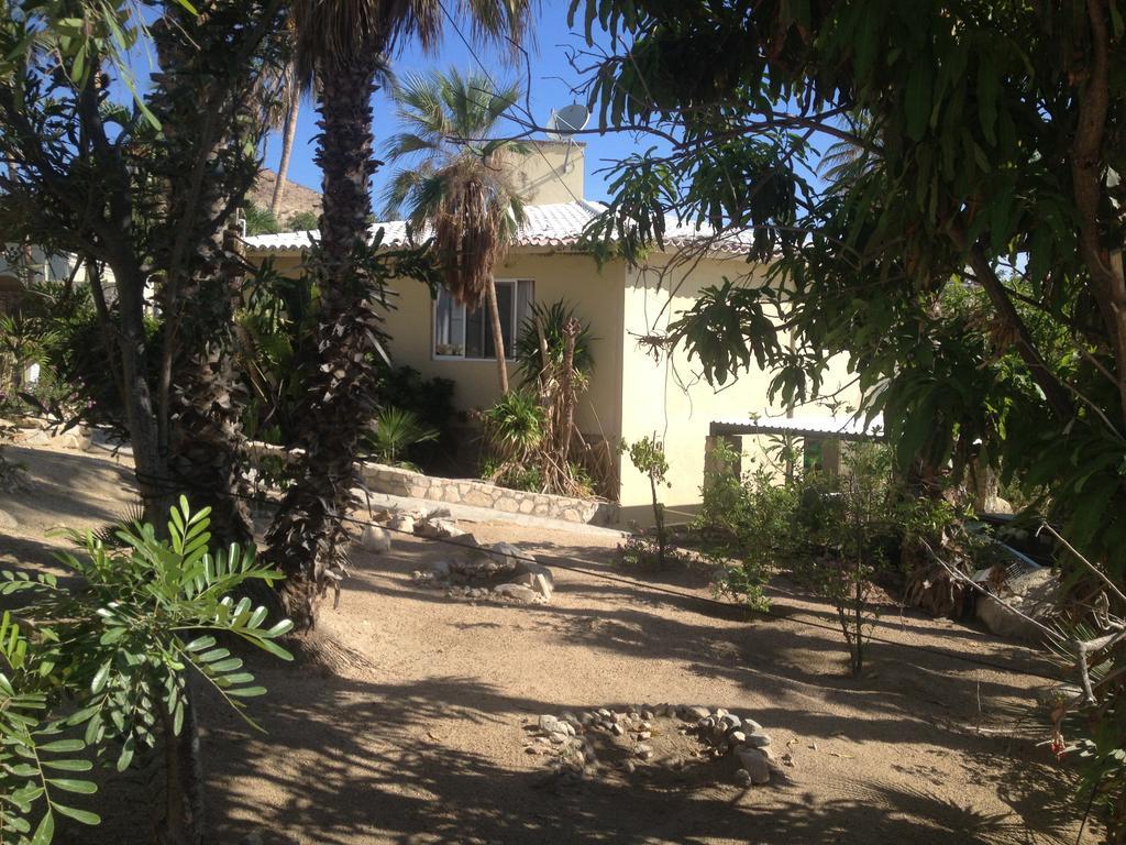 Surfer'S Paradise, Yoga&Food Garden@Costa Azul, Los Cabos San José del Cabo Exteriör bild
